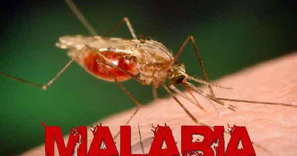 Malaria outbreak causes panic in OAU